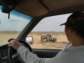 izzy-with-elephants